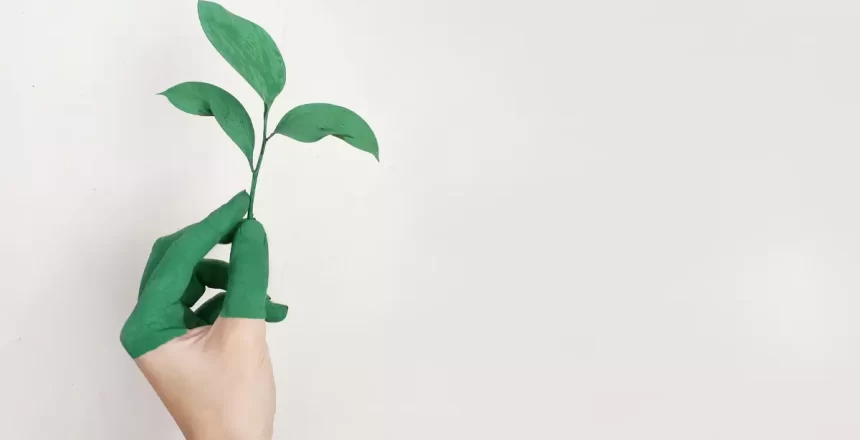 sustainability